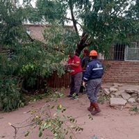 Alerta por fuertes vientos en Añelo