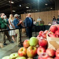 Trump presenta demandas para frenar conteos en Michigan y Pensilvania