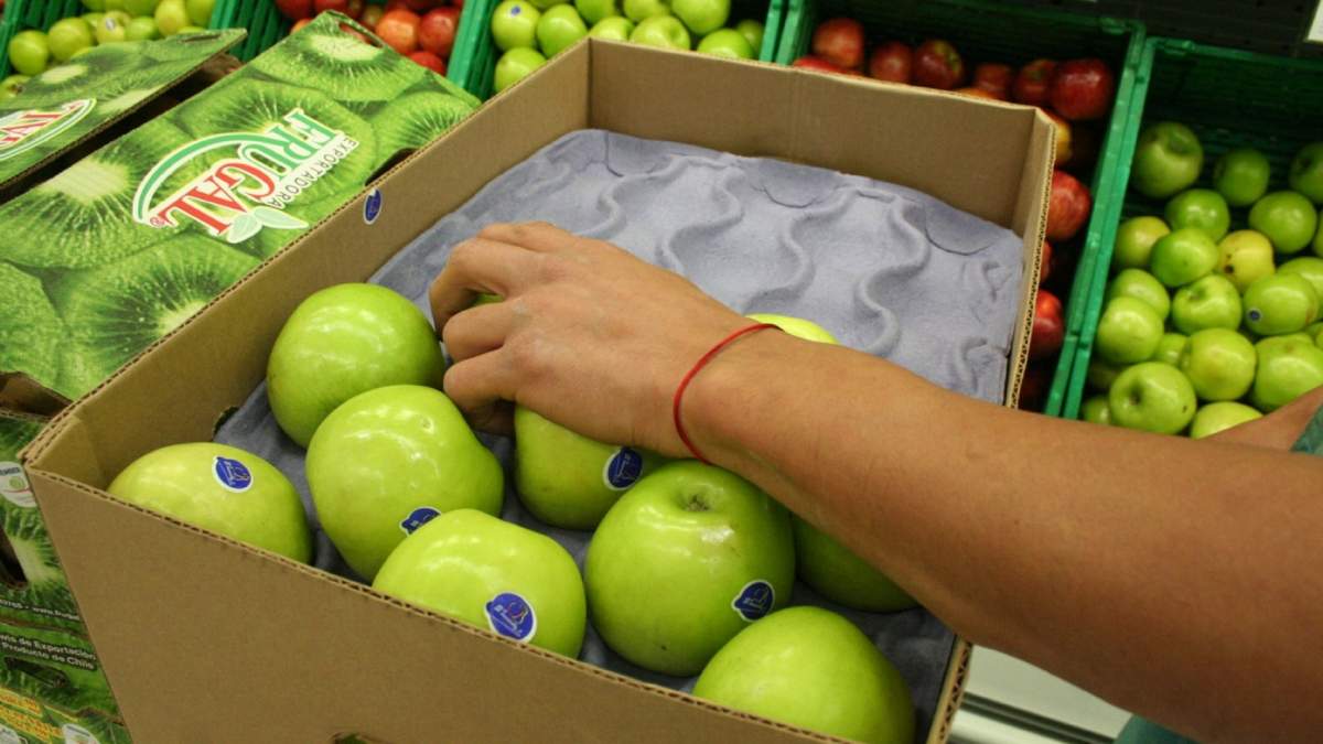 Los controles a las peras y manzanas rionegrinas serán más estrictos. Fuente: (Twitter)
