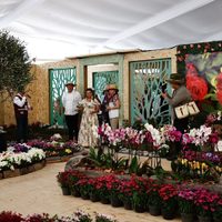 Compran 1 millón de plantas para embellecer la CDMX rumbo al Mundial 2026