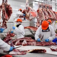 Exportaciones de carne: cómo impacta el acuerdo con EE.UU. en el mercado interno y los precios