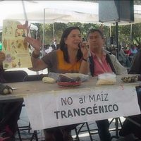 Necesario revertir siembra de transgénicos y avanzar en bioseguridad: San Vicente