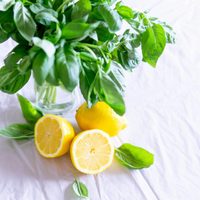 No tires la cáscara de limón: conocé todos sus beneficios y formas fáciles de usarla en casa, desde cocina hasta remedios caseros
