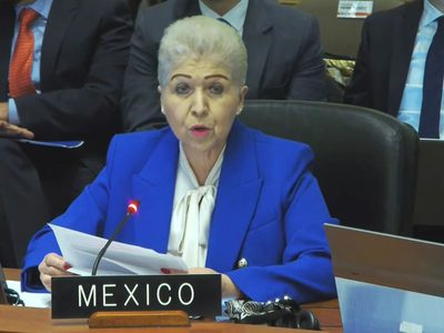 México defiende en la OEA el asilo a la exprimera ministra de Perú, Betssy Chávez