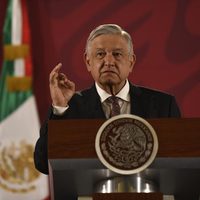 No hay empresas favoritas para la construcción del Tren Maya: AMLO
