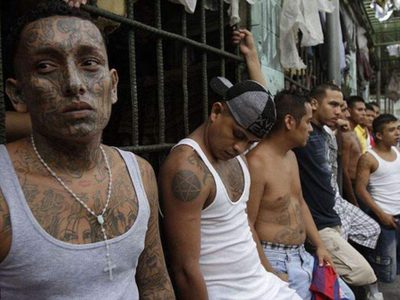 Y en El Salvador la amnistía no disparó la violencia