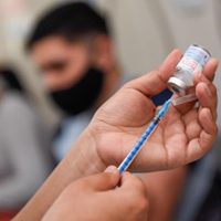 Vacuna contra el coronavirus: así se encuentran las cifras a 15 de septiembre