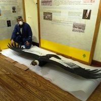 Cambios y renovación en el Museo barilochense de la Patagonia