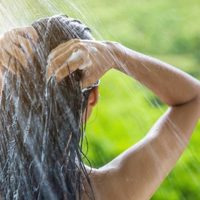 4 plantas que son perfectas para tener tu cabello radiante y tan hermoso como recién salida de la peluquería