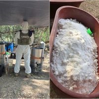 Desmantelan narcolaboratorio en Michoacán; producía dos toneladas de metanfetamina por semana