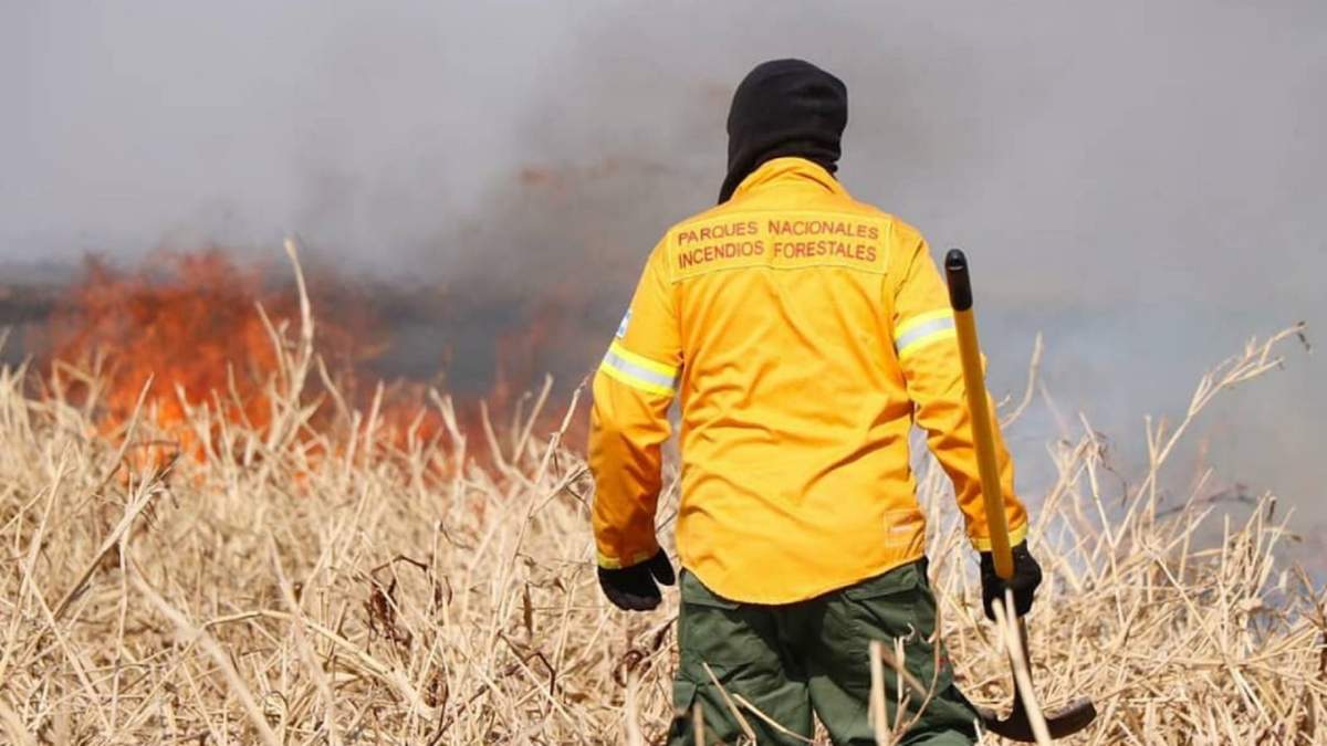Incendios en las islas del Paraná. Fuente: (Twitter)