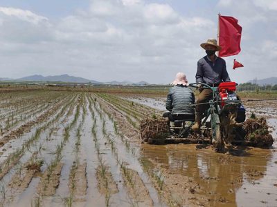 Alarma en Asia por una posible crisis alimentaria en Corea del Norte
