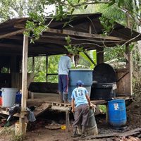 Así se fabrica y se exporta la cocaína colombiana (Video)