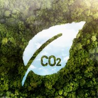Vaca Muerta avanza hacia la sustentabilidad y lanzan el primer mercado digital de carbono