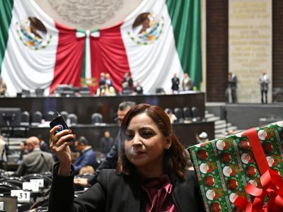 Prohibición de vapeadores, un regalo navideño de Morena para el crimen organizado: diputada