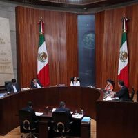 ¿Pueden los ciudadanos impugnar las elecciones judiciales?