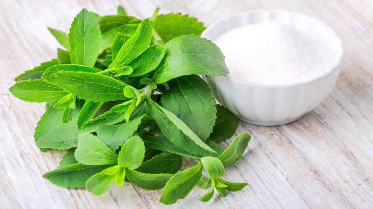 Stevia. Fuente: (Instagram)