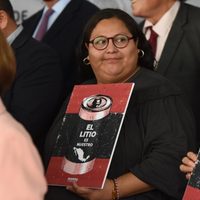 Citlalli Hernández vuelve al Senado para participar "en la defensa de nuestro litio"
