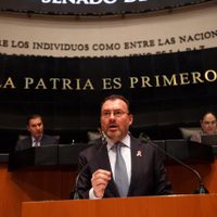 Videgaray asume responsabilidad por invitar a Trump en 2016