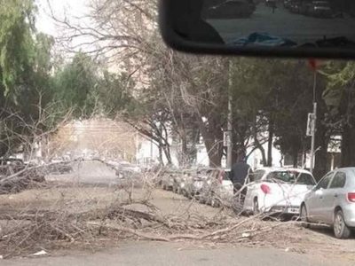 "Lo que las ráfagas dejaron": Perjuicios en Neuquén por el temporal de viento
