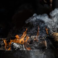 Conocé cómo utilizar las cenizas del asado en el jardín