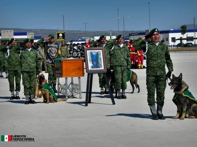 A su regreso a México, la delegación que viajó a Turquía homenajea a Proteo