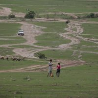 El corto mexicano 'Ensueño en la Pradera” competirá por el Oso de Oro en la Berlinale