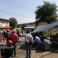 Con compra de votos, intimidaciones y otros tropiezos transcurren los comicios en Michoacán