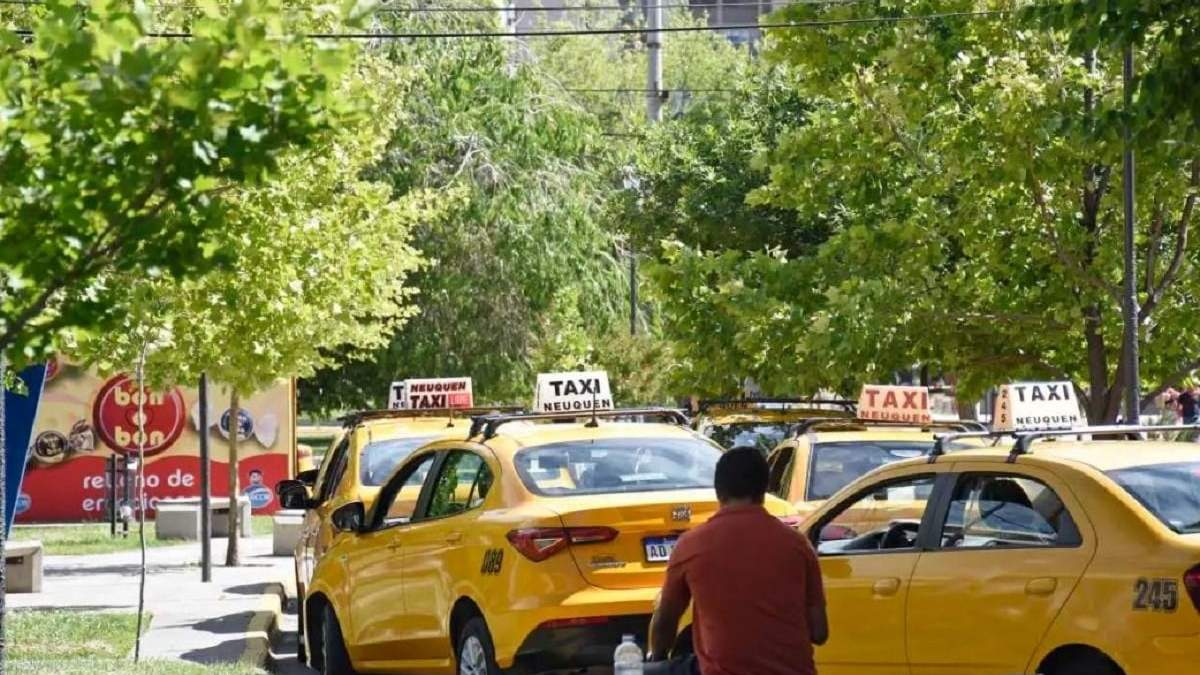 El ataque del pitbull se produjo dentro del taxi. Fuente: (Diario RN)