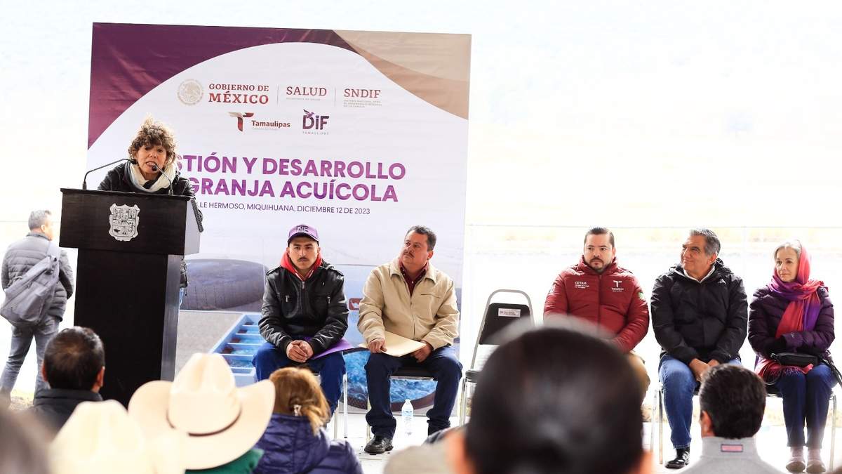 Todas las familias tamaulipecas tendrán energía eléctrica: Américo