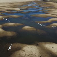 Sequía en Sudamérica no se debe al cambio climático: Estudio