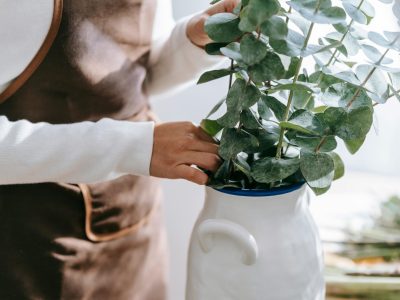 El truco de la abuela para que el eucalipto te dure intacto hasta por un año: aprovechá su rico olor y ahorrá plata
