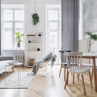 La planta que todos quieren tener y que lleva la deco de tu living a otro nivel