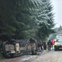 Jornada agitada para los bomberos de Villa La Angostura: asistieron a cuatro accidentes en una tarde