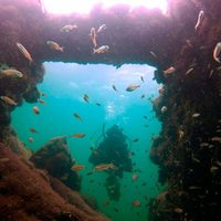 Hallazgo de pecio del siglo XIX en Yucatán revela su origen como nave esclavista