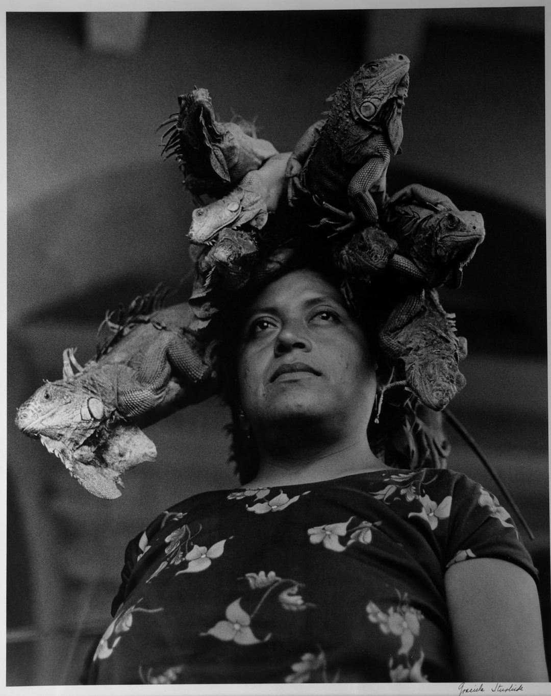 Nuestra Sen~ora de las Iguana