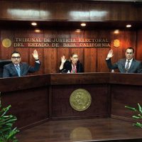 Tribunal Electoral de BC desecha impugnaciones de Martínez Veloz