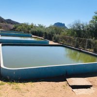 Sequía agudiza crisis hídrica en Sinaloa; presas tienen niveles por debajo del 10%