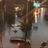 Tormenta azota el sur de la CDMX: Caos vial, árboles caídos, casas y autos inundados... (Videos)