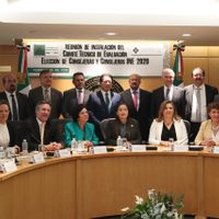 INE: Constitución vs. comentocracia