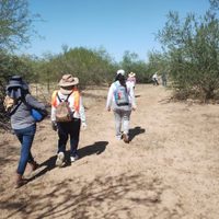 Hombres armados atacan a madres buscadoras en Sonora