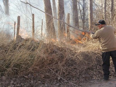 La municipalidad de Centenario solicitó apoyo al gobierno provincial para productores afectados por incendios intencionales