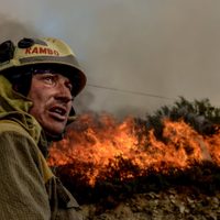 Ola de incendios forestales afectan gravemente a toda España