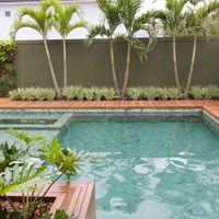 3 plantas que aguantan todo, son fáciles de cuidar y perfectas si tenés pileta en tu jardín