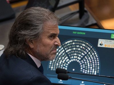 Cuál fue el artículo que el Gobierno no pudo mantener