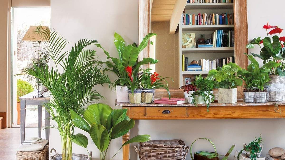 Decoración. Fuente: (Instagram)