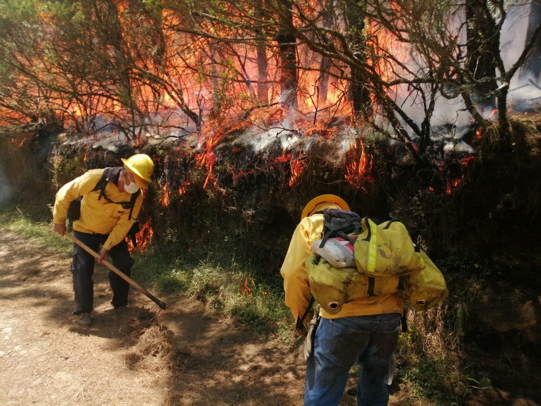 Personal laborando para apagar el incendio forestal en Zacatlán, Puebla