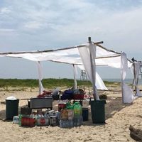 Multa de 4 millones de pesos por fiesta VIP en hábitat de tortugas