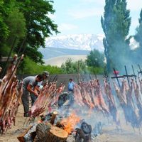 El fin de semana largo dejó un balance de visitantes positivo para el turismo de Neuquén
