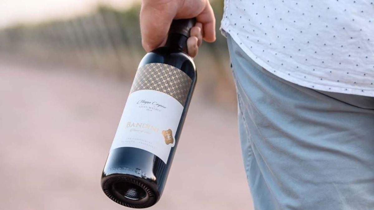 Presentan línea vinos por Zoom. Fuene: (Facebook)